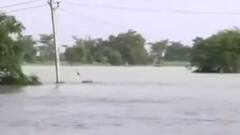 बिहार में बाढ़ के कोहराम की पूरी कवरेज | Bihar Floods | सीधे फील्ड से