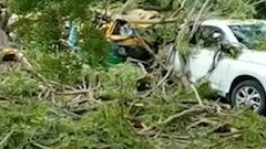 Ahmedabad: લો ગાર્ડન વિસ્તારમાં વિશાળ વૃક્ષ ધરાશાયી, અનેક વાહનોને પહોંચ્યુ નુકસાન