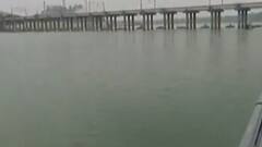 અમદાવાદઃ સાબરમતી નદીમાં માછલીના મોત, ઓક્સિજનના અભાવે માછલીઓના મોત થયાનું અનુમાન