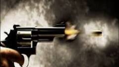 Shootout: মল্লিকপুরে শ্যুটআউট! ৩ রাউন্ড গুলি চালিয়ে দুষ্কৃতীদের চম্পটের অভিযোগ