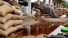 ભારે વરસાદથી ભૂજ APMCમાં અલગ અલગ જણસ પલળતા નુકસાન, જુઓ વીડિયો