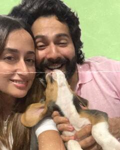 Varun Dhawan's Pet Dog: পোষ্যর নাম ঠিক করে ফেললেন বরুণ ধবন, যোগ রয়েছে টিভি শো ‘ফ্রেন্ডস’-এর সঙ্গে