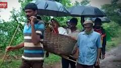 गर्भवती महिलेला बांबूच्या डालातून नेण्याची वेळ, कोल्हापूरच्या जोगेवाडी धनगरवाड्याची दुर्दशा