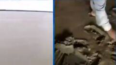 Ground report from the flood-affected areas in Bihar