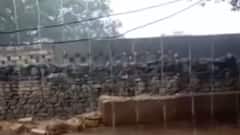 પોરબંદરના બરડા પંથકમાં વરસ્યો ધોધમાર વરસાદ, જુઓ વીડિયો