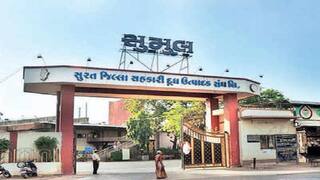 Janmashtami 2022 : સુરત અને તાપી જિલ્લાના 2 લાખ 50 હજાર પશુપાલકોને ફાયદો થશે