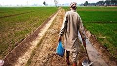 ખેડૂતોના હિતમાં સબસિડીવાળા યુરિયા કરતા પણ 10 ટકા ઓછા ભાવે સરકાર આપશે