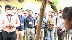 मायलेकाचा सर्पदंशाने मृत्यू, मोहरे कुटुंबाला जिल्हाधिकाऱ्यांसह अधिकाऱ्यांकडून दरमहा 10,000₹ देणार