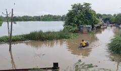 ગુજરાતના આ શહેરમાં મેઘરાજાની જોરદાર બેટિંગ, 6 કલાકમાં 5 ઇંચ વરસાદ તૂટી પડ્યો