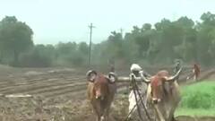 ભાવનગરમાં સારા વરસાદથી ધરતીપુત્રો ગેલમાં, ખેડૂતોએ કર્યો વાવણીનો પ્રારંભ