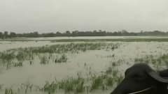 Monsoon attack: Knee-deep water in Bihar's Gopalganj | Ground Report