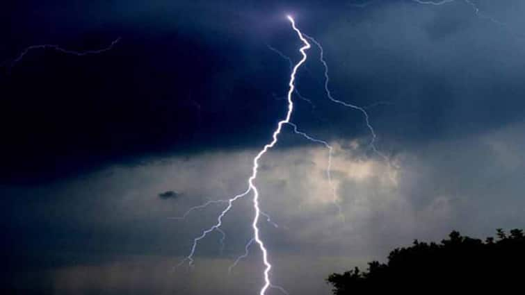 One killed and three kids injured by lightning; as they climbed a tree in search of a mobile network at Palghar मोबाईल नेटवर्कच्या शोधात मुलं झाडावर चढली; वीज पडून एक मृत्युमुखी; तीन जखमी