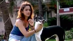 Watch full episode of Saas Bahu Aur Saazish of June 20, 2021