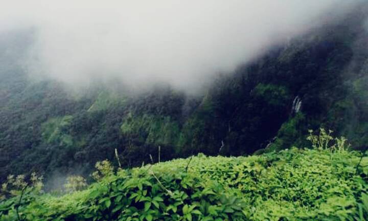 मुळात कावळेसाद पॉईंटला एका बाजूला सपाट मैदान तर दुसऱ्या बाजूला दीड ते दोन हजार फूट खोल दरी असल्याने याठिकाणी धुक्याचा लपंडाव पहायला मिळतो.