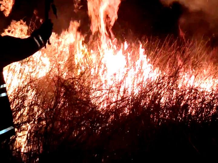 10 acres of reeds burned to ashes in the fire மயிலாடுதுறை: 10 ஏக்கர் பரப்பளவில் பயிரிடப்பட்டிருந்த கோரைப்புல் தீயில் எரிந்து சாம்பல்..!