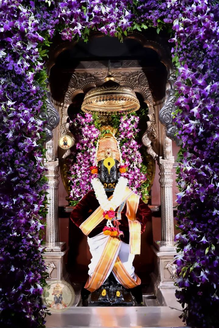 आज ज्येष्ठ शुद्ध अर्थात नीर्जला एकादशी निमित्त विठ्ठल मंदिरात आकर्षक फुलांची सजावट करण्यात आली आहे. (Photo Credit : @PandharpurVR)