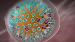 Covid-19 new variant 'Lambda' identified in 29 countries so far | Master Stroke