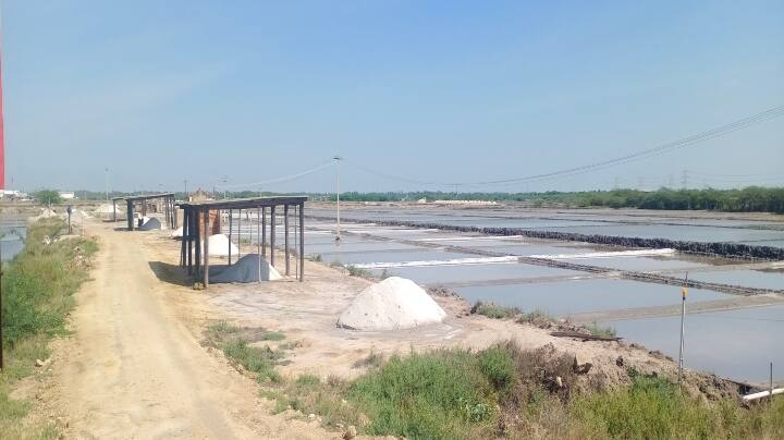 Low Salt Production Seasonal Rainfall Gujarat Salt Imports Low Salt Farming by Port Industries தூத்துக்குடி: குறைந்த உப்பளப் பரப்பு : கோரிக்கை வைத்த உப்பு உற்பத்தி தொழிலாளர்கள்..!