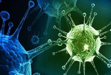 Why delta the most dangerous among all coronavirus variants how effective is the vaccine Explained: ખતરનાક કોરોનાના ડેલ્ટા વેરિયન્ટ સામે વેક્સિન કેટલીક અસરકારક, જાણો શું કહે છે એક્સપર્ટ