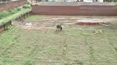 Ayodhya land deal row: Who is the owner of the disputed land?