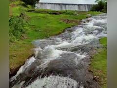 Maharashtra Konkan Rain PHOTO : रत्नागिरीतील वाटूळ धरणाचं नैसर्गिक सौंदर्य