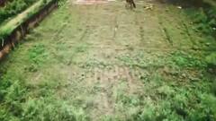 Ayodhya में Ram Mandir Trust की जमीन खरीद पर एक और विवाद आया सामने | सत्य वचन