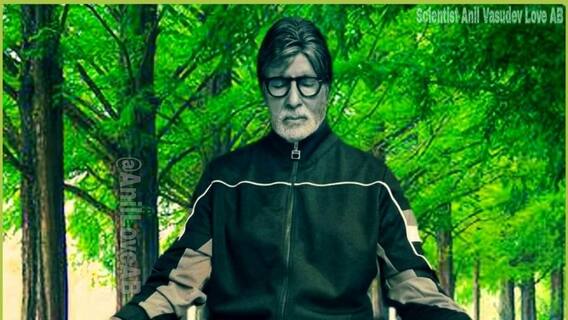 ফিল্মস্টার: বিশ্ব যোগ দিবসে সোশ্যাল মিডিয়ায় কী পোস্ট করলেন বিগ বি?