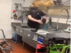 Viral Video: टैको बेल के कर्मचारी ने नौकरी के आखिरी दिन को बनाया स्पेशल, किचन के सिंक में लगाई छलांग