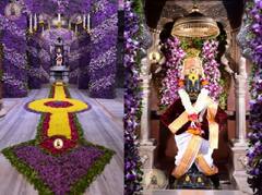 Nirjala Ekadashi : भगवंताची प्राप्ती करून देणारी ज्येष्ठ शुद्ध अर्थात निर्जला एकादशी, काय आहे महिमा...