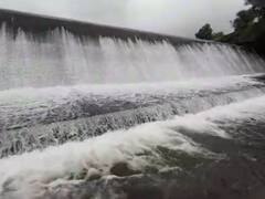 Maharashtra Konkan Rain PHOTO : रत्नागिरीतील वाटूळ धरणाचं नैसर्गिक सौंदर्य