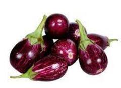 Coronavirus: कोरोना काल में बैंगन से बढ़ाएं इम्यूनिटी, कई रोग भी होंगे दूर