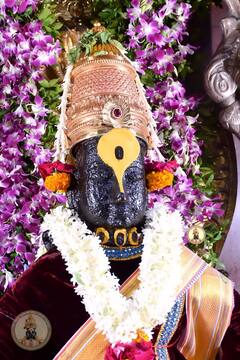 PHOTO Pandharpur Vitthal Mandir : ज्येष्ठ शुद्ध अर्थात निर्जला एकादशीनिमित्त विठुरायाची रावुळी रंगीबेरंगी फुलांनी सजली