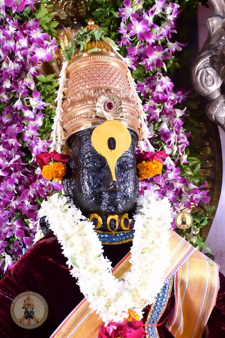 आज ज्येष्ठ शुद्ध अर्थात नीर्जला एकादशी. (Photo Credit : @PandharpurVR)