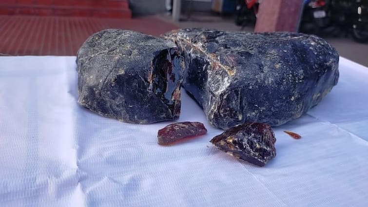 Amber Greece trying to smuggle England through Sri Lanka இலங்கை வழியாக இங்கிலாந்து கடத்த முயன்ற அம்பர் கிரீஸ்  6 பேர் கைது