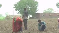 Bhavnagar: ખેત મજૂરોને ડબલ પૈસા આપવા છતા મજૂરો ન મળતા ખેડૂતોની મુશ્કેલી વધી, શું કહ્યું ખેડૂતોએ?