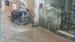 રાજ્યમાં છેલ્લા 24 કલાકમાં કેટલા તાલુકામાં ખાબક્યો વરસાદ, ક્યાં નોંધાયો સૌથી વધુ?