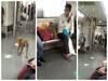 दिल्ली मेट्रो ट्रेन के अंदर घुसा बंदर, जानें- क्या कहा डीएमआरसी ने
