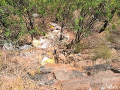 கரூர் : பெரியதாதம் பாளையம் ஏரிக்கு எப்போது விடிவுகாலம்?