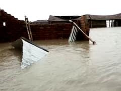 बेतिया के दियारा इलाके में घुसा गंडक का पानी, हाजीपुर में बारिश से बढ़ी परेशानी; पलायन कर रहे लोग