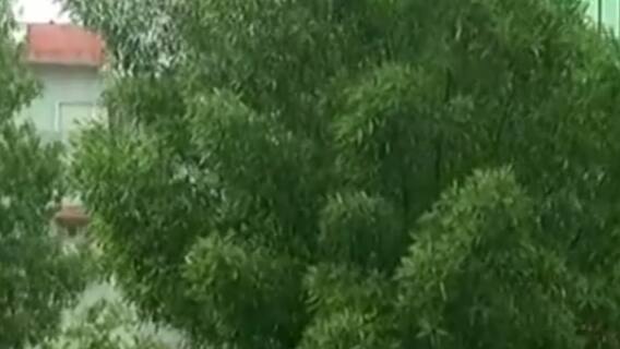 Vadodara: મેઘરાજાએ કરી ધમાકેદાર એન્ટ્રી,કયા કયા વિસ્તારોમાં ખાબક્યો વરસાદ?