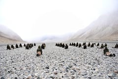 International Yoga Day 2021 In Pics : हाडं गोठवणाऱ्या थंडीत आणि घोड्यावर ITBP जवानांचा योगाभ्यास