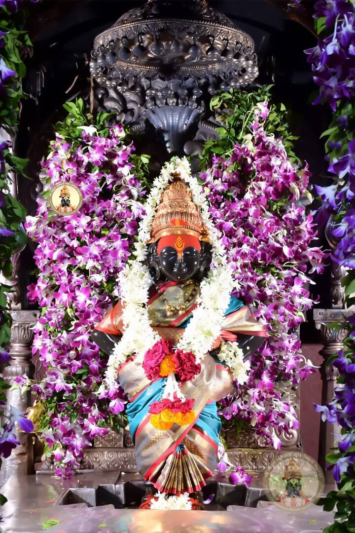 (Photo Credit : @PandharpurVR)