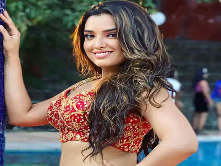 आम्रपाली दुबे को डेली सोप ‘रहना है तेरी पलकों की छांव में’ में सबसे पहले ब्रेक मिला था. जो साल 2009 से लेकर 2010 तक प्रसारित हुआ था. इसके बाद अभिनेत्री ने सात फेरे और मायका जैसे लोकप्रिय शो में अभिनय किया था.