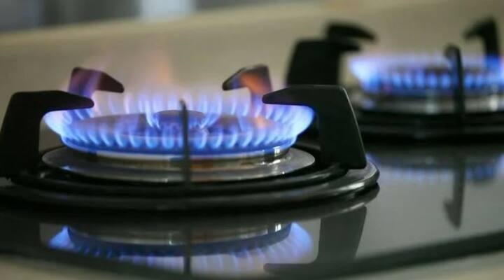 New PNG stove to reduce monthly bill up to 25 per cent details inside નવા PNG ગેસ સ્ટવથી માસિક બિલમાં થશે તોતિંગ ઘટાડો, જાણો દર મહિને કેટલી થશે બચત