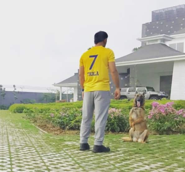 These days, MS Dhoni is holidaying with his family in Shimla. The Chennai Super Kingswill next be seen playing in the remaining matches of IPL 2021, scheduled to be held in UAE.  Photo Courtesy: mahi7781 / Instagram
