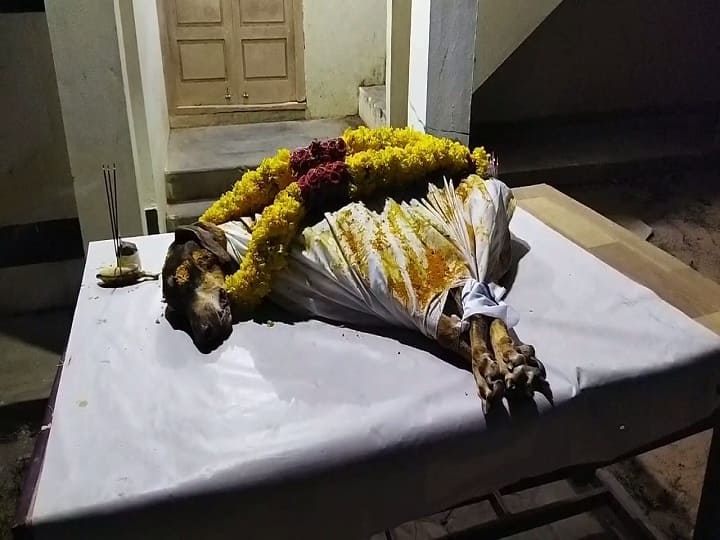 Tamil Nadu Police Sniffer Dog Rajarajan Put To Rest With Full State Honor