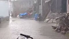 અરવલ્લી જિલ્લામાં નોંધાયો સાર્વત્રિક વરસાદ, ખેડૂતોમાં જોવા મળી ખુશી, જુઓ વીડિયો