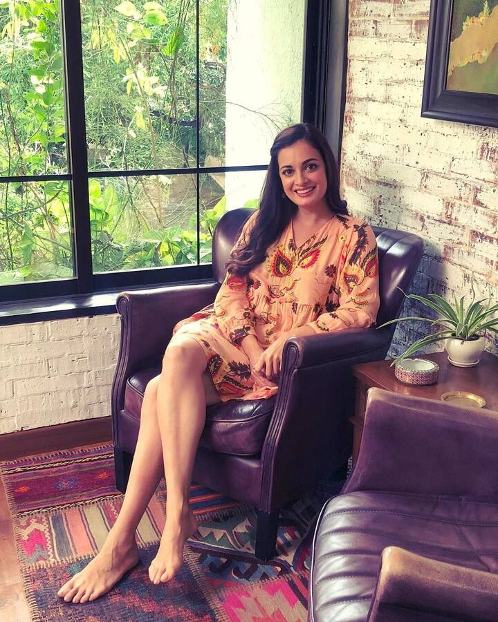 घर के एक कोने में खिड़की के पास ब्राउन कलर की लाउंज चेयर रखी गई है. जो काफी स्टाइलिश लग रही है.