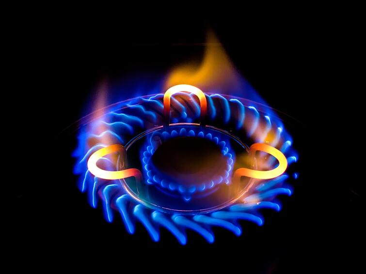 New Piped Natural Gas stove to cut monthly bill by 25 per cent for PNG consumers खुशखबरी: 25 फीसदी कम होगा आपकी रसोई का खर्चा, पाईप वाला प्राकृतिक गैस स्टोव बनकर तैयार
