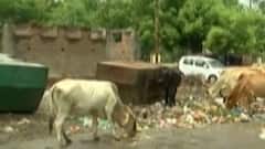 સ્માર્ટ સિટી વડોદરા એક વર્ષમાં 6ઠ્ઠા ક્રમેથી 20માં ક્રમે ધકેલાયું, દેશની 100 સ્માર્ટ સિટીનું રેકિંગ જાહેર